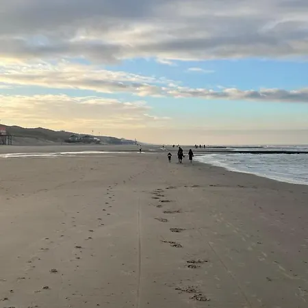 Callantsduinzicht, Beachappartement 24 公寓